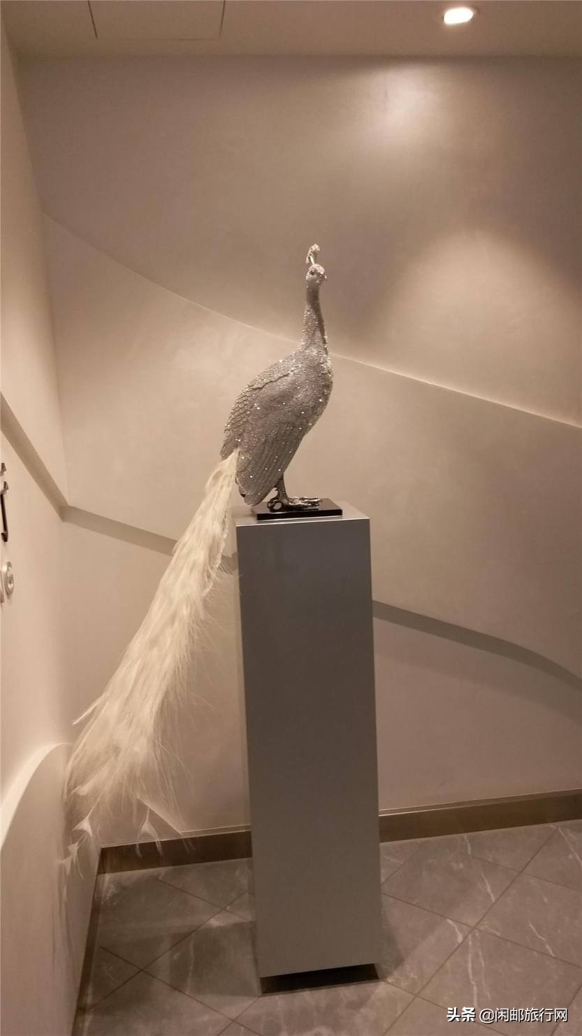 海洋光谱号自由行,海洋光谱号体验之旅