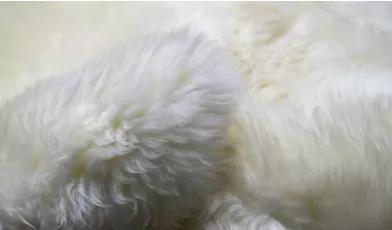 常见天然纺织纤维的性能特点,常用纺织纤维的结构与性能