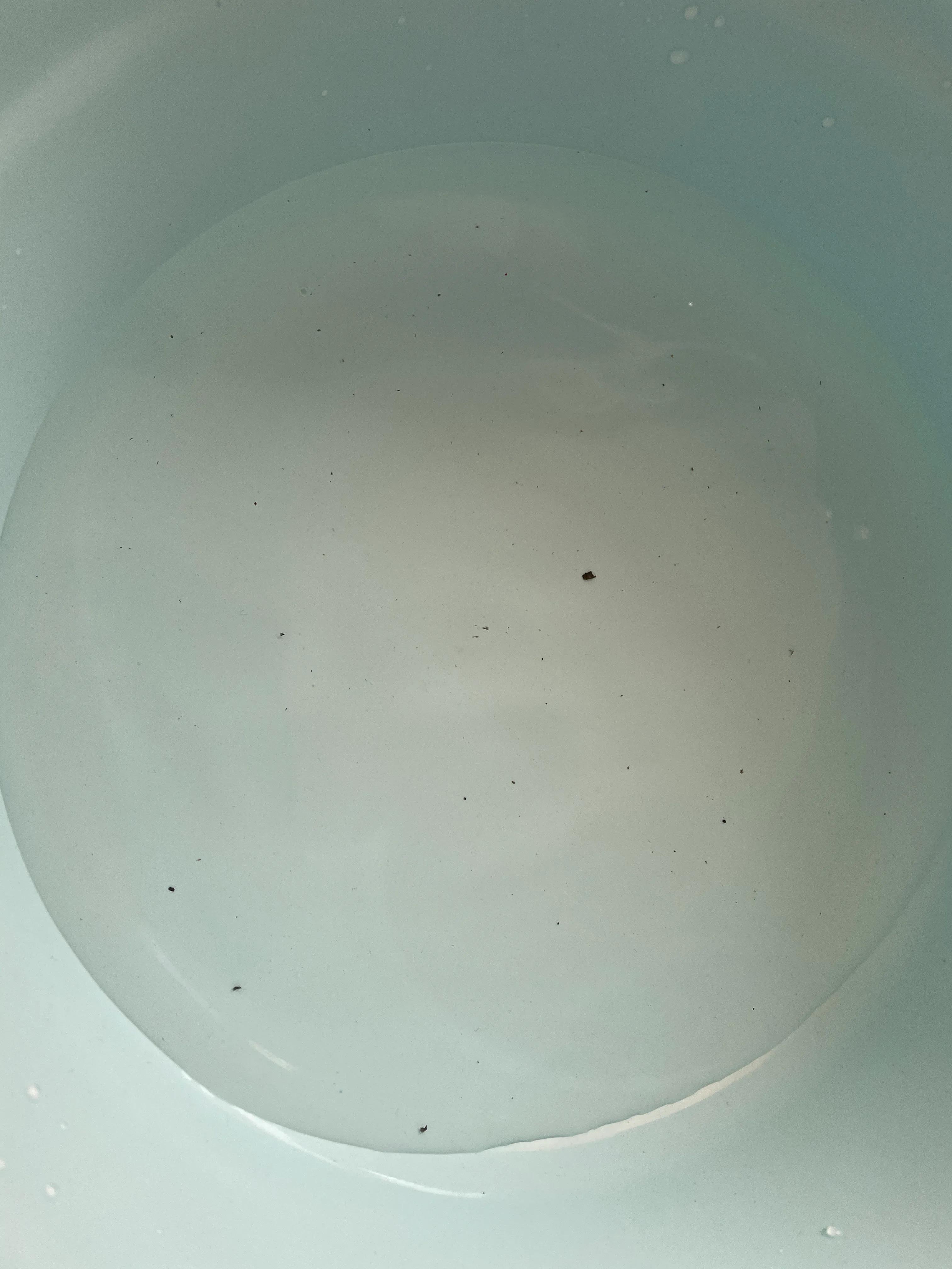 怎样清洗金属手表链,怎样清洗表链最干净