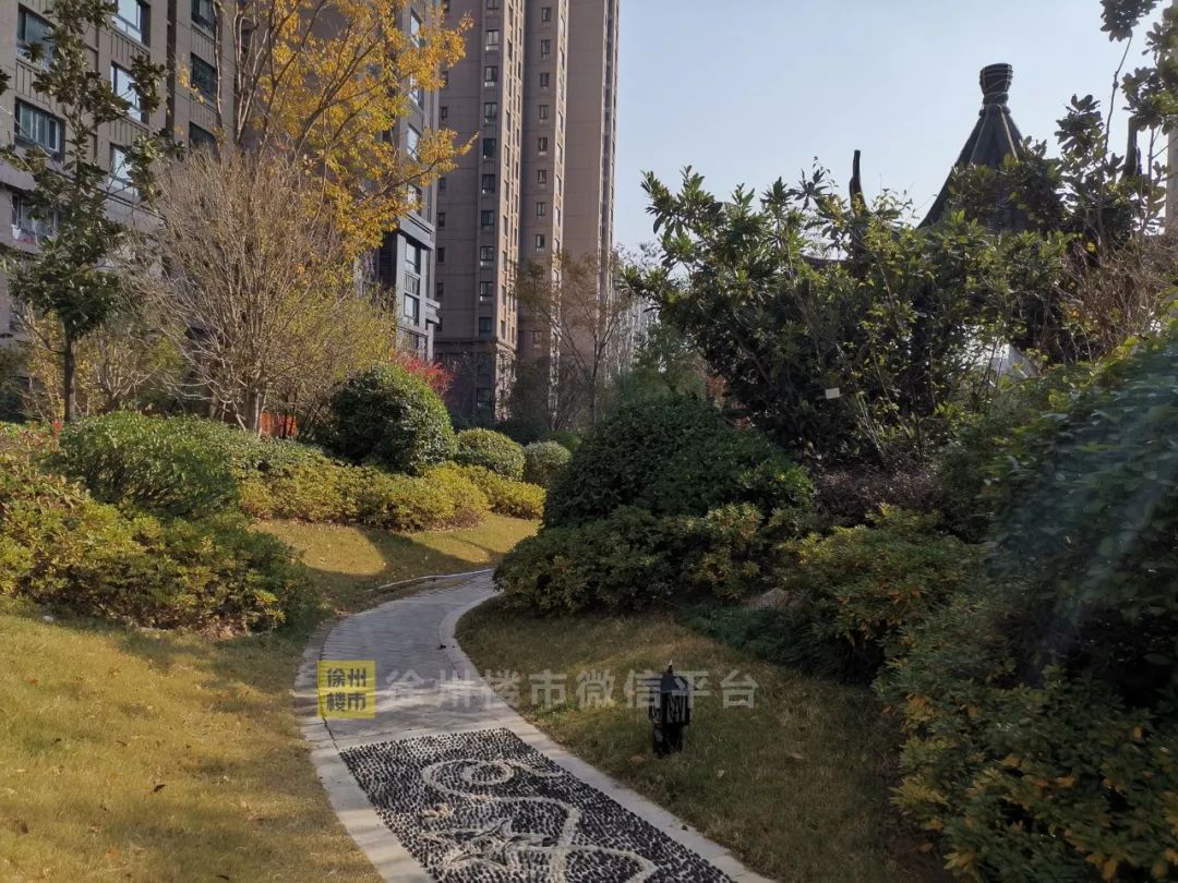 徐州小区实探,徐州网红吐槽商场