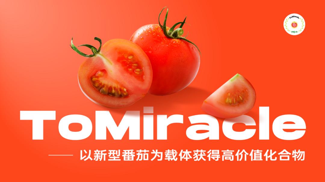 当西红柿遇上烦人的橙子,当番茄遇上西红柿视频