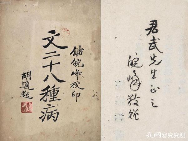 储皖峰和他的半部《中国文学史》