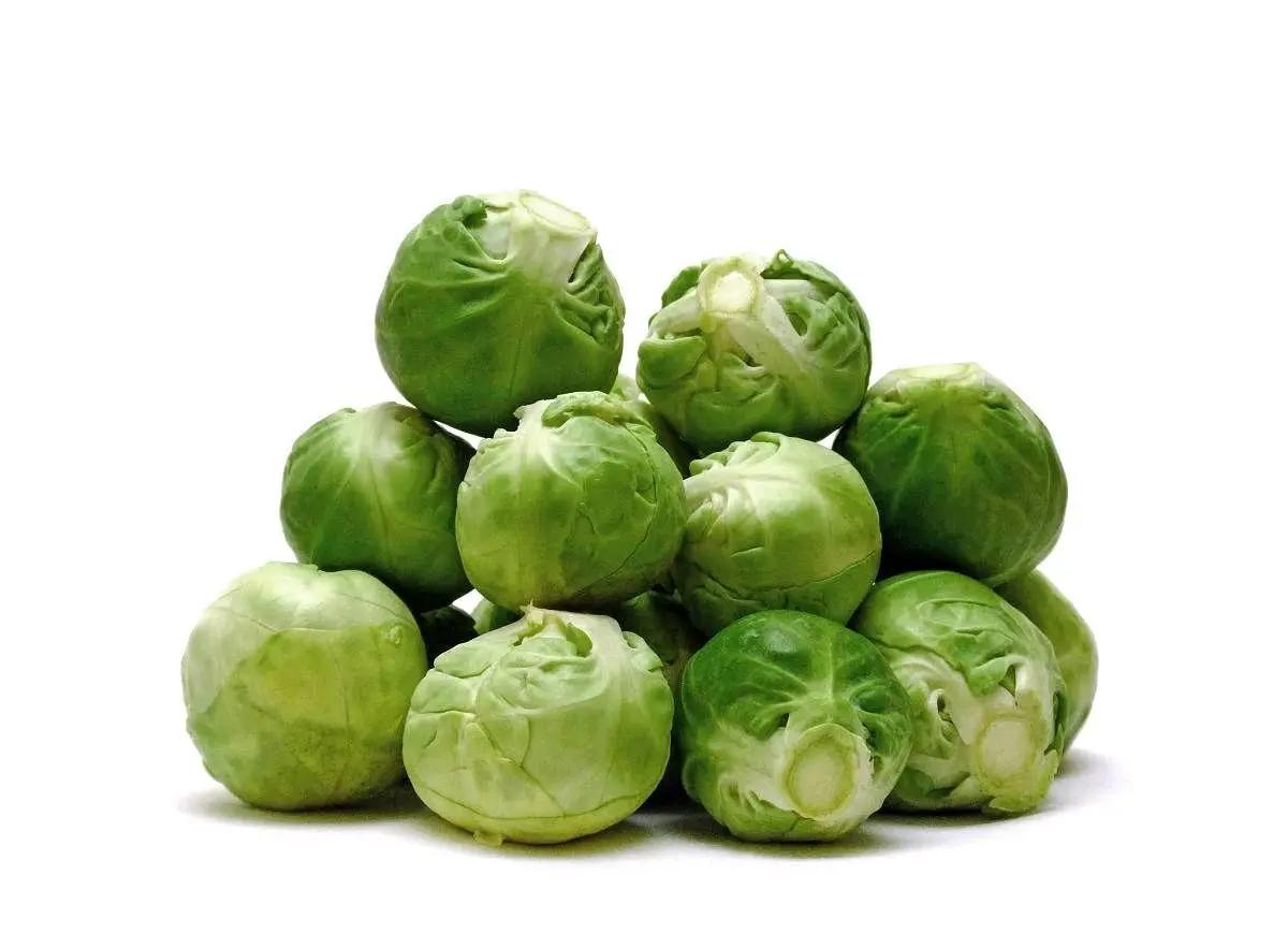 蒸饺面皮怎么做好吃,蒸饺面皮怎么做简单好吃