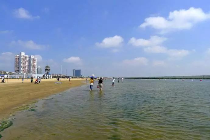 上海金山未来发展,上海的金山农村什么样