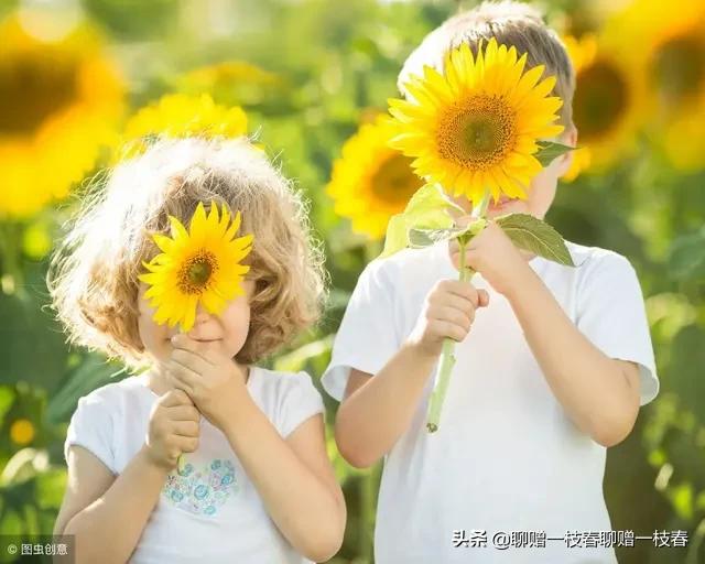 嫁给矮小的老公是什么感觉,嫁给矮男人的感觉