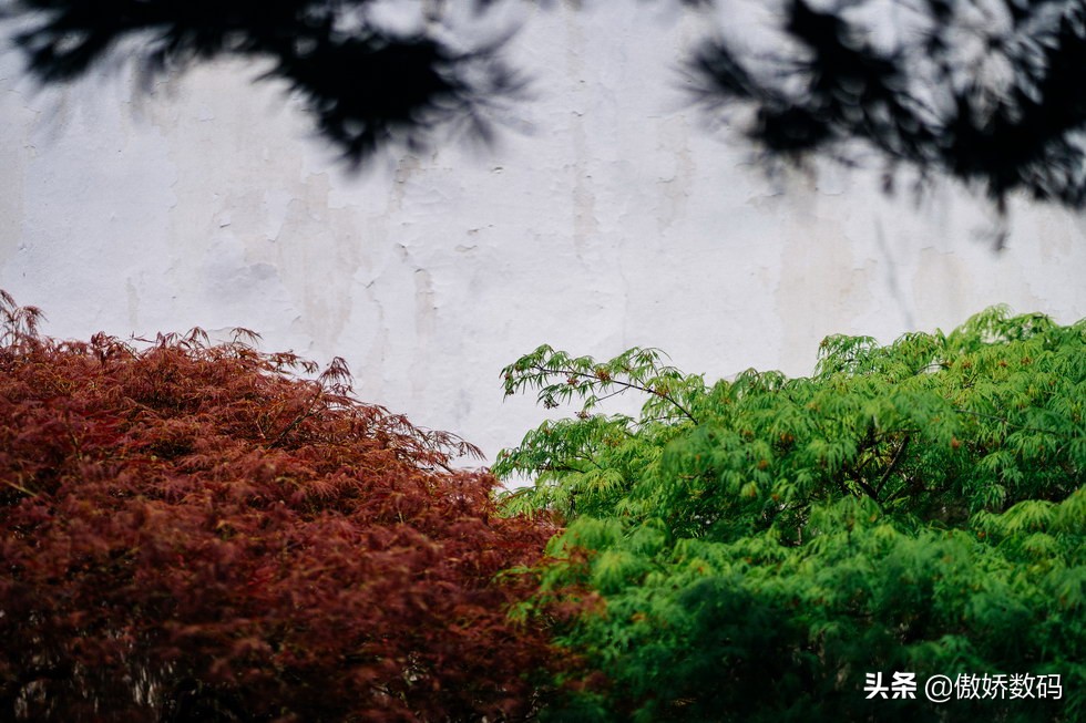 拙政园最让人欣赏的地方,拙政园十大特色