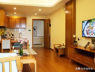 广州市天河区岭南养生谷养老院,广州颐寿养老院一览表