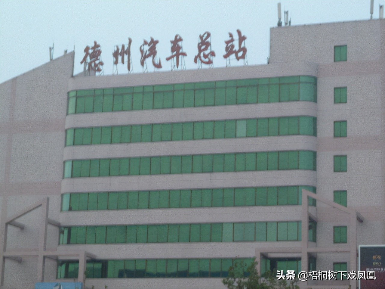 邀请去山东盗墓，“保底赚10万”，一网友动心了，见面后不敢干了