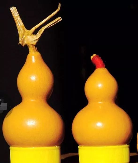 盘文玩葫芦变枣红要多长时间,文玩葫芦每天盘多久最好