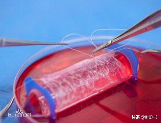 人体中自带的黑科技,超级实用的各种黑科技