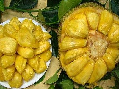 菠萝和菠萝蜜有什么关系,菠萝和菠萝蜜的区别