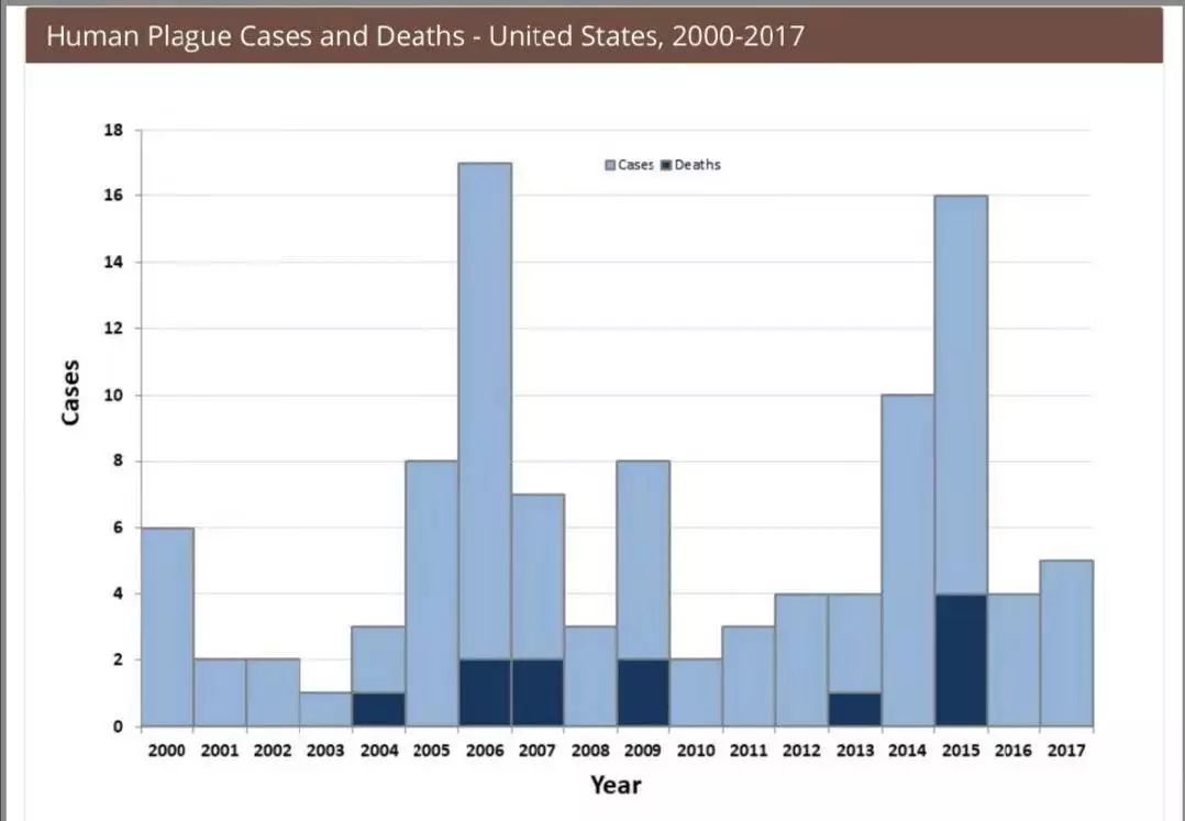 鼠疫有特效药吗,冀连梅药师简介