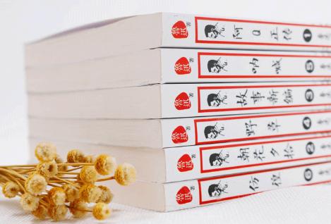 26岁千金许广平追爱43岁已有家室的鲁迅，终究错爱，仅相恋十年