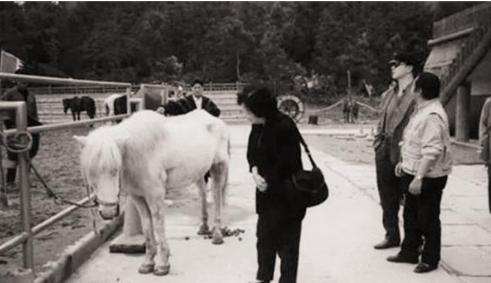 白龙马晚年惨死山洞无人知,白龙马牺牲杨洁痛哭