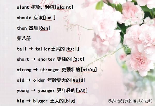 小学英语“单词表+音标”！给孩子贴墙上背熟，初中都领先一大截