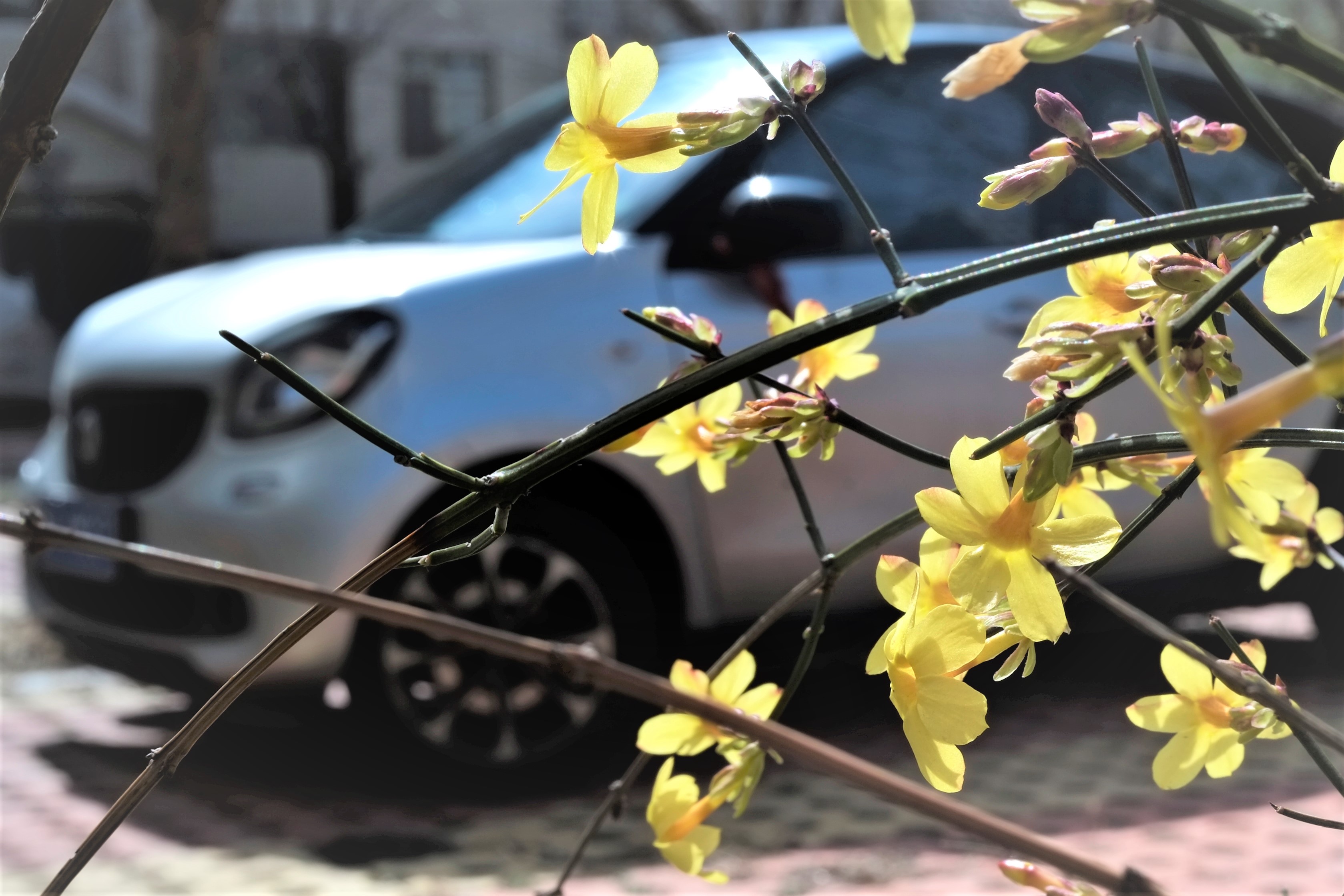 「老相机」照片中毒/二手富士X-PRO1+七工匠25mmF1.8的魅力