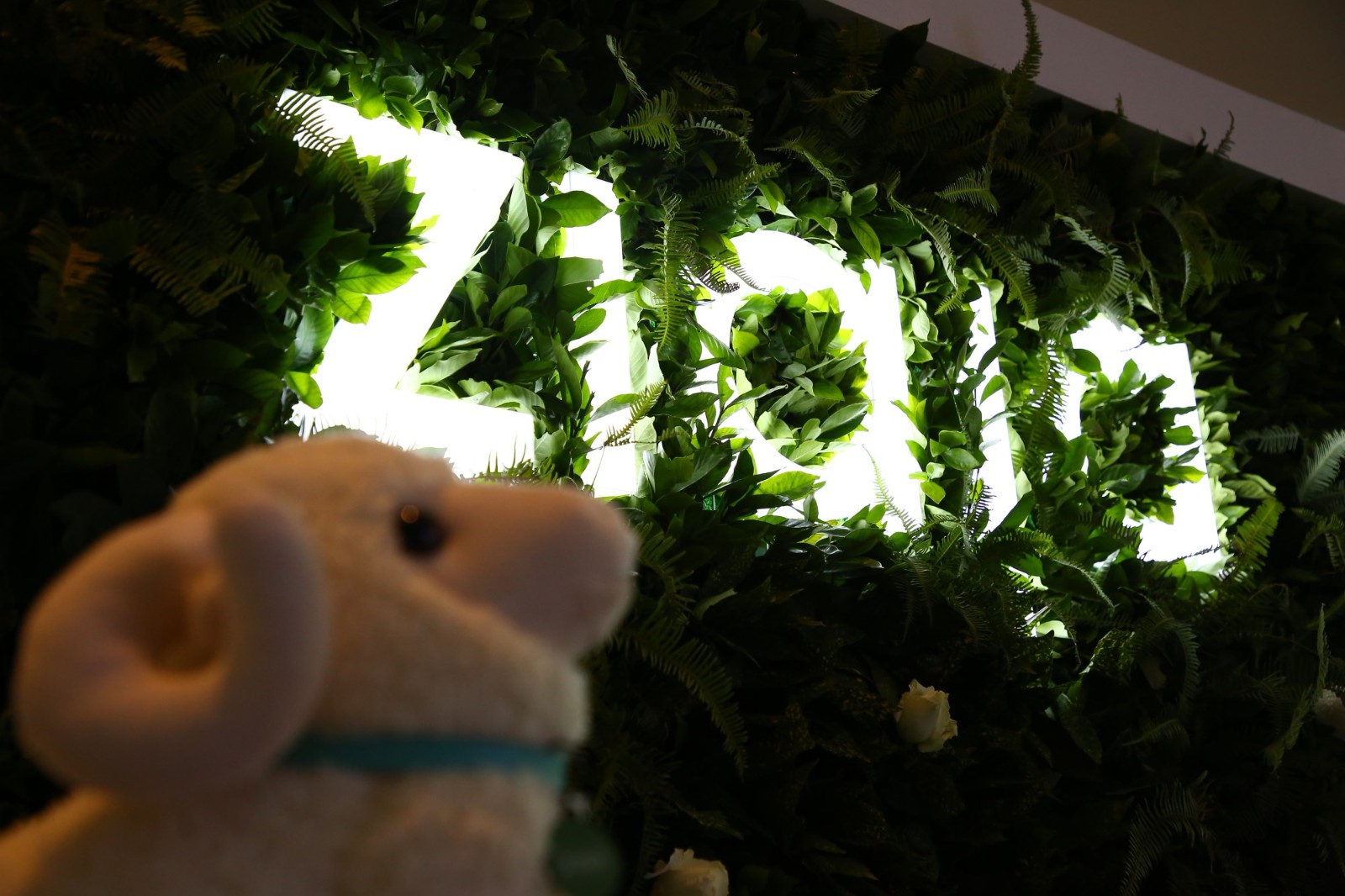 齐叶雅山羊奶面膜怎么辨别真假,面膜控