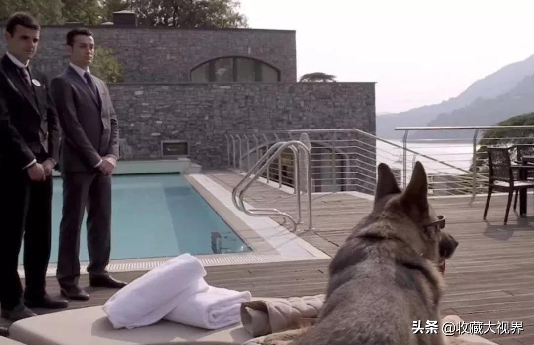 冈瑟家族近况,冈瑟四世最新资产