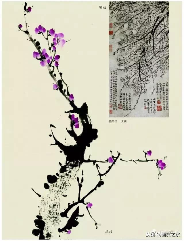 董寿平国画梅花老树干的画法,国画梅花花瓣的画法视频教程