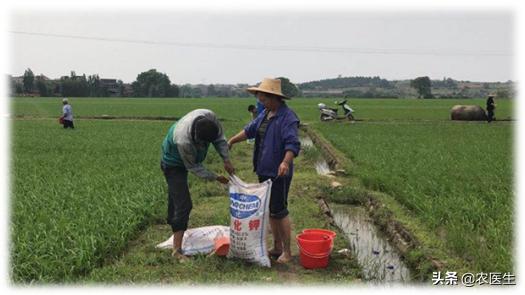 农业种植追肥是值得收藏的顺口溜,钾肥高产有什么作用