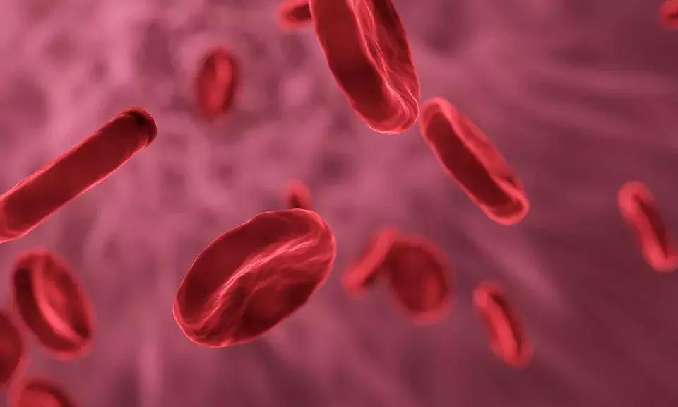 抽血颜色发黑，血液太粘稠了？这3种致病血液，可能都是吃出来的