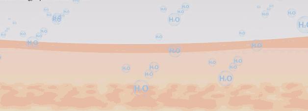 bbc沙棘面霜 (老爸评测bbc面霜)