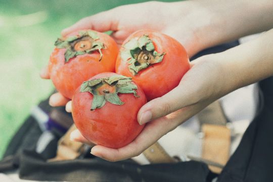 老北京胡同里探秘,探访老北京胡同有意外发现
