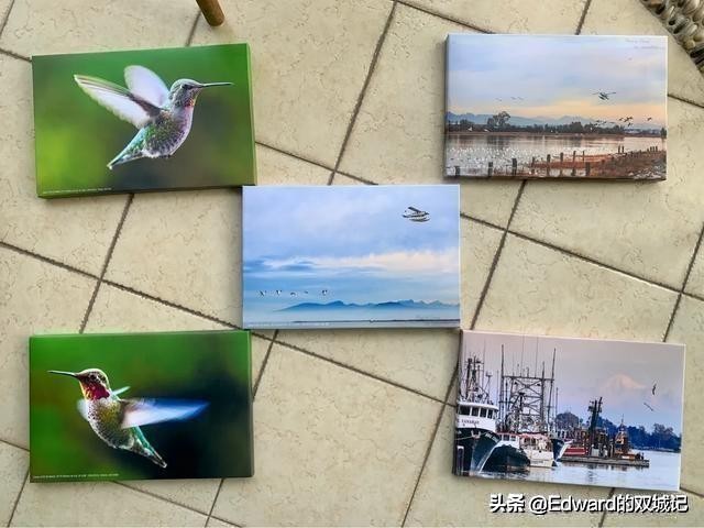 自由摄影师摆摊需要些什么,摄影摆摊怎么入行