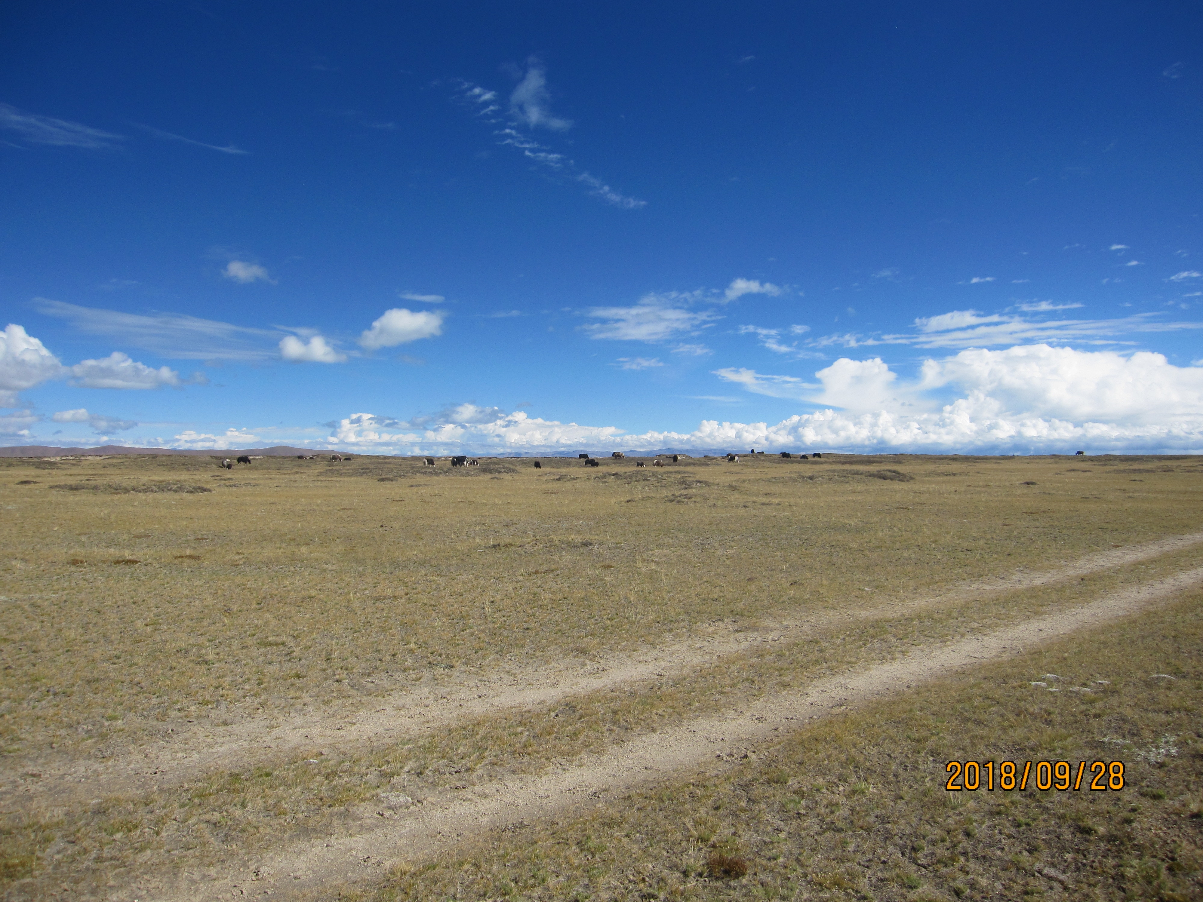 *藏西**大环线第35天：导航输入错误，走了个不收门票不一样的纳木措