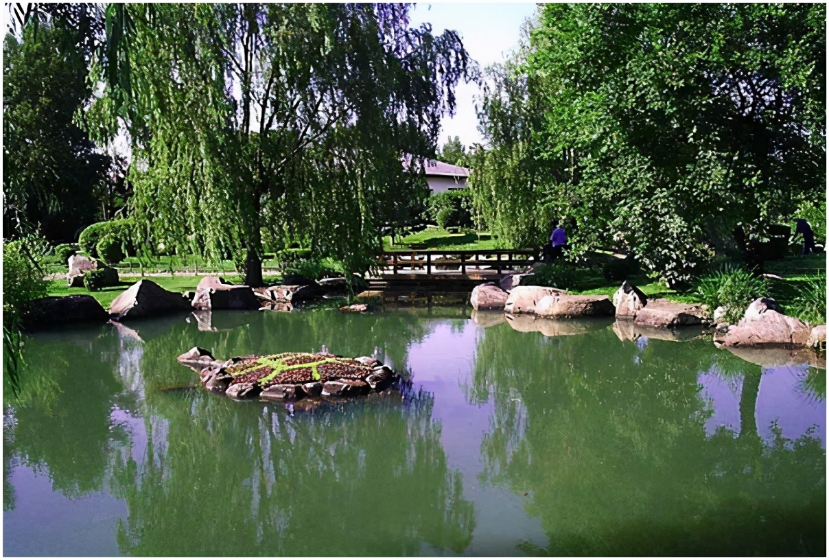 哈尔滨太阳岛冰雕,哈尔滨太阳岛雪景