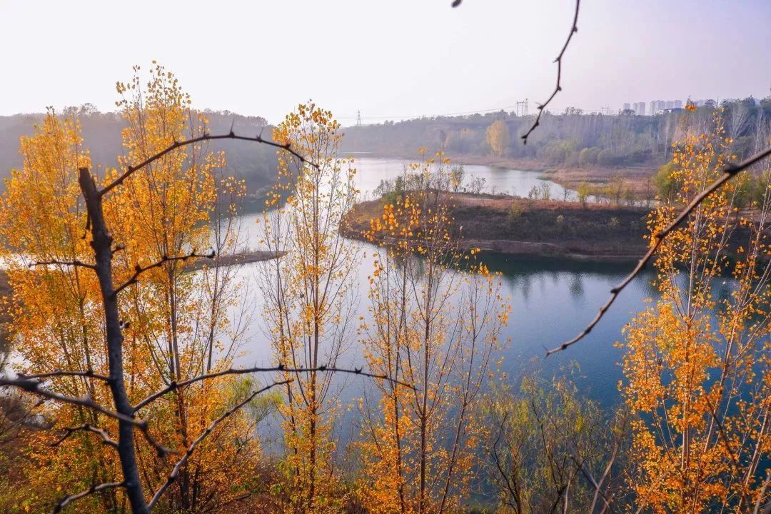 郑州今年还会升温吗,郑州今年会更火吗