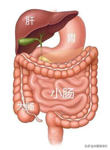腹部不适口腔溃疡,腹部不适肠鸣屁多