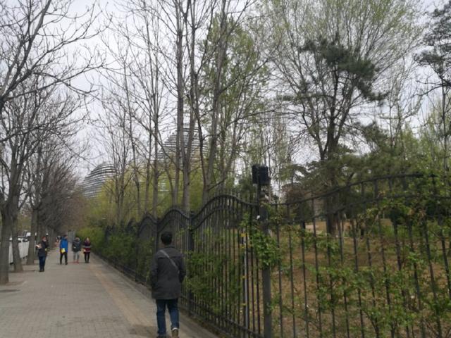 北京望京cbd什么时候开发的,北京望京核心地段