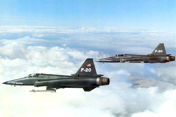 极富悲剧色彩的虎鲸,虎鲨悲剧