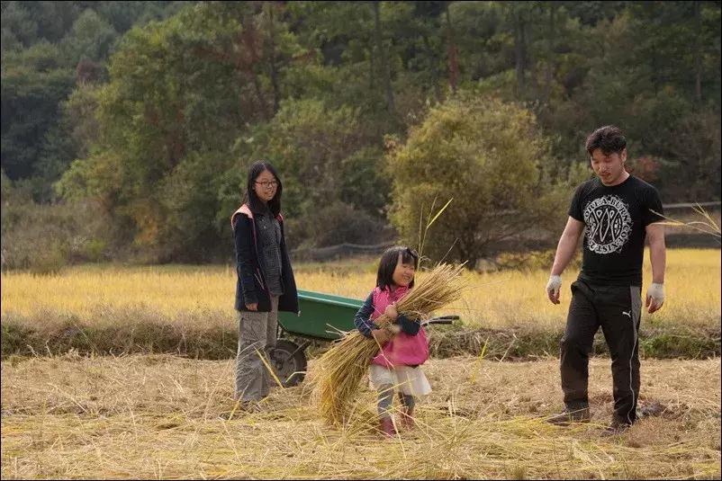 日本福岛污染的大米,日本核污染的食物正在中国卖吗