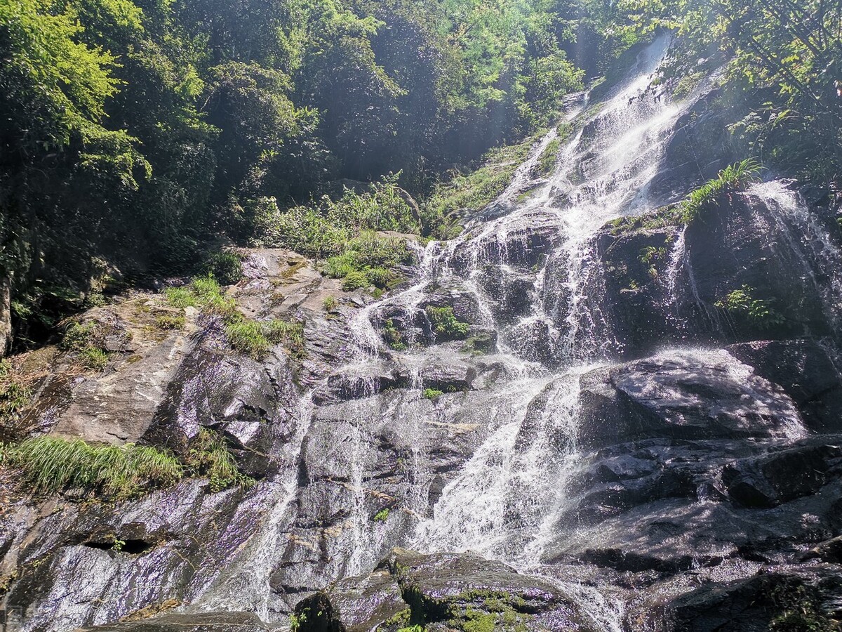 长沙本地一日游,长沙一日游价格