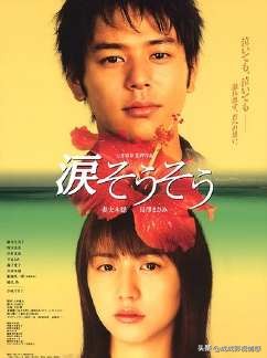 9部高分台剧推荐,高分日剧推荐9分以上解说