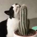 皮炎湿疹反反复复什么原因,夏季湿疹皮炎如何解决