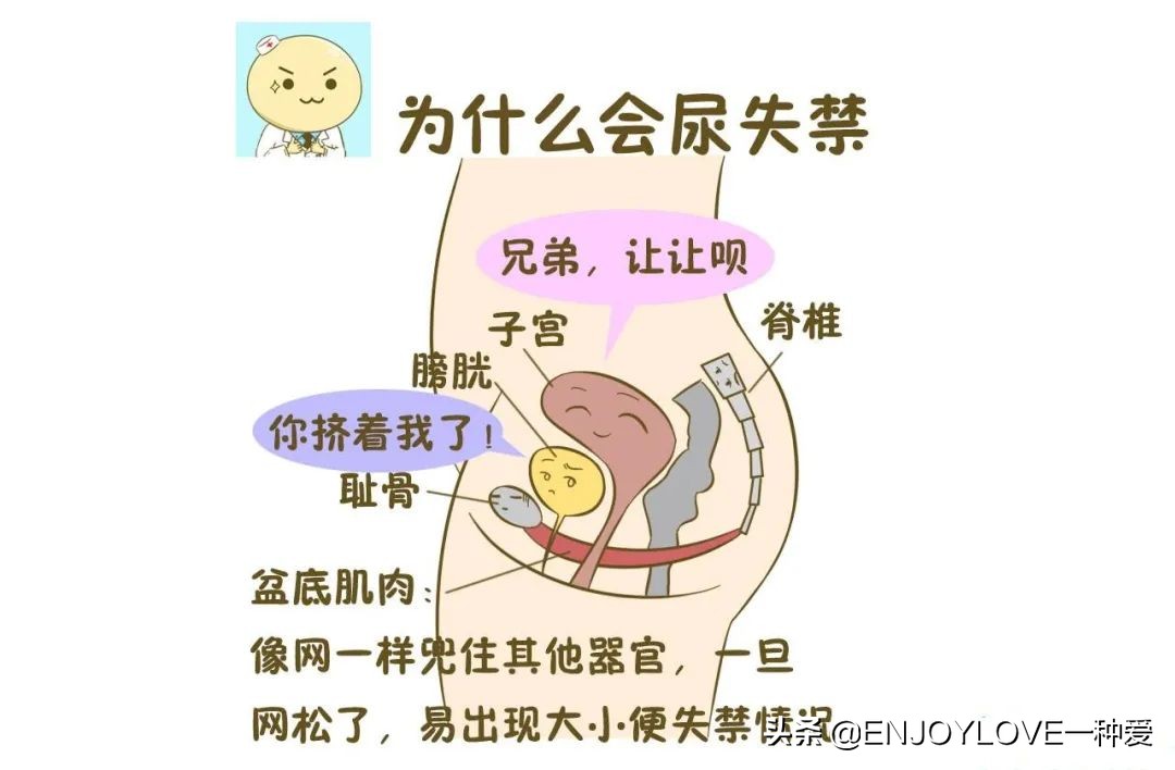 产后漏尿，都是盆底肌损伤惹的祸