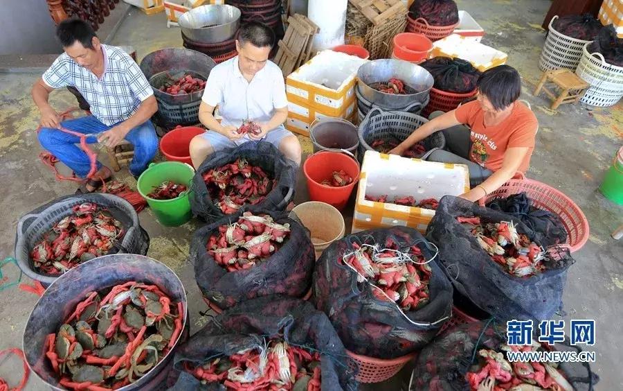 接下来3个月，福州人想吃这些海鲜要多花钱了！因为……