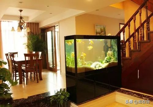 鱼缸摆放位置风水吉位图片,鱼缸怎么摆放布局风水好