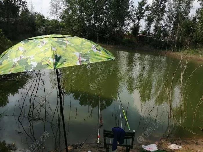 探钓废旧鱼塘之断竿，一波三折