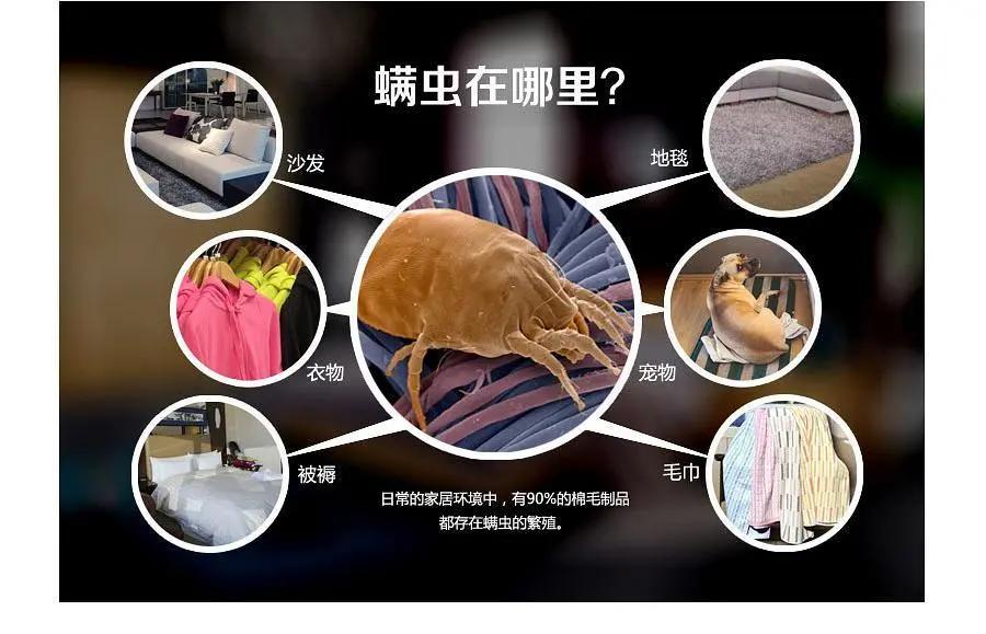 冬天螨虫多还是夏天螨虫多,怎么有效的去除螨虫简单方法