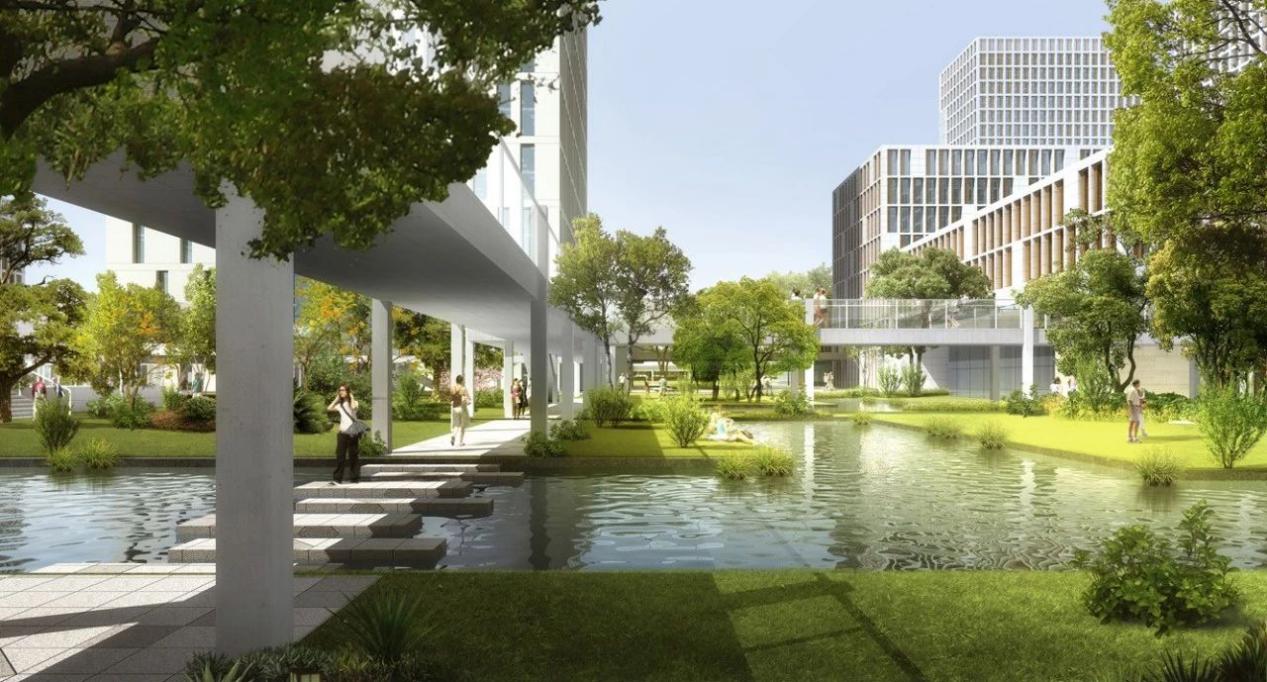 批了！滨海湾未来将美的让人挪不开眼