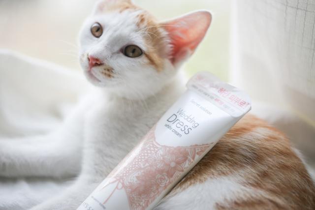 不会假白的素颜霜，涂完你也能去参加101了