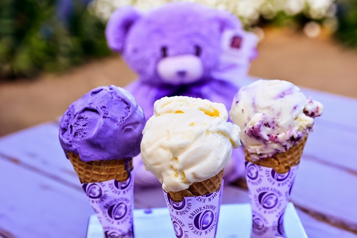 世界的尽头澳大利亚塔斯马尼亚,世界的尽头塔斯马尼亚岛