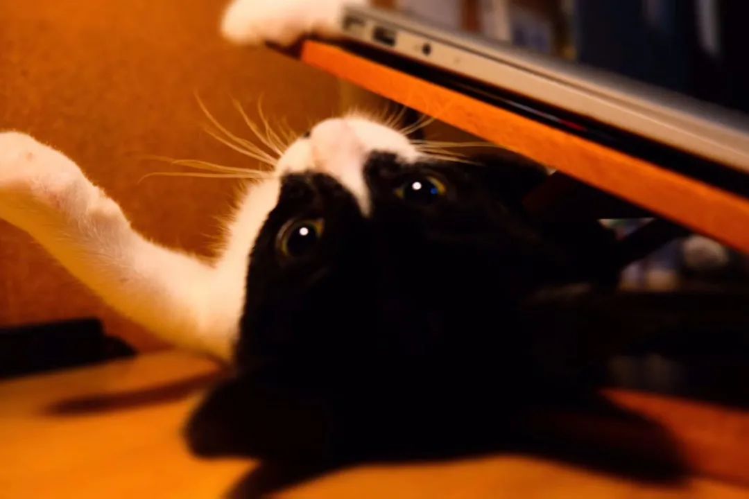 和卡卡的第一次合作,和卡卡相遇