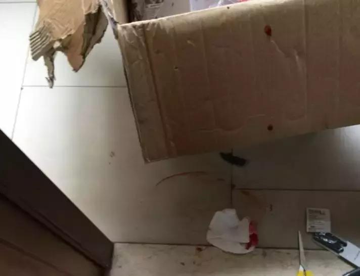 宜家的东西都是自己品牌的吗,宜家的东西就免费吃吗