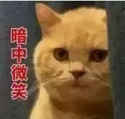 藤县最近有什么大新闻,藤县最近发生什么了