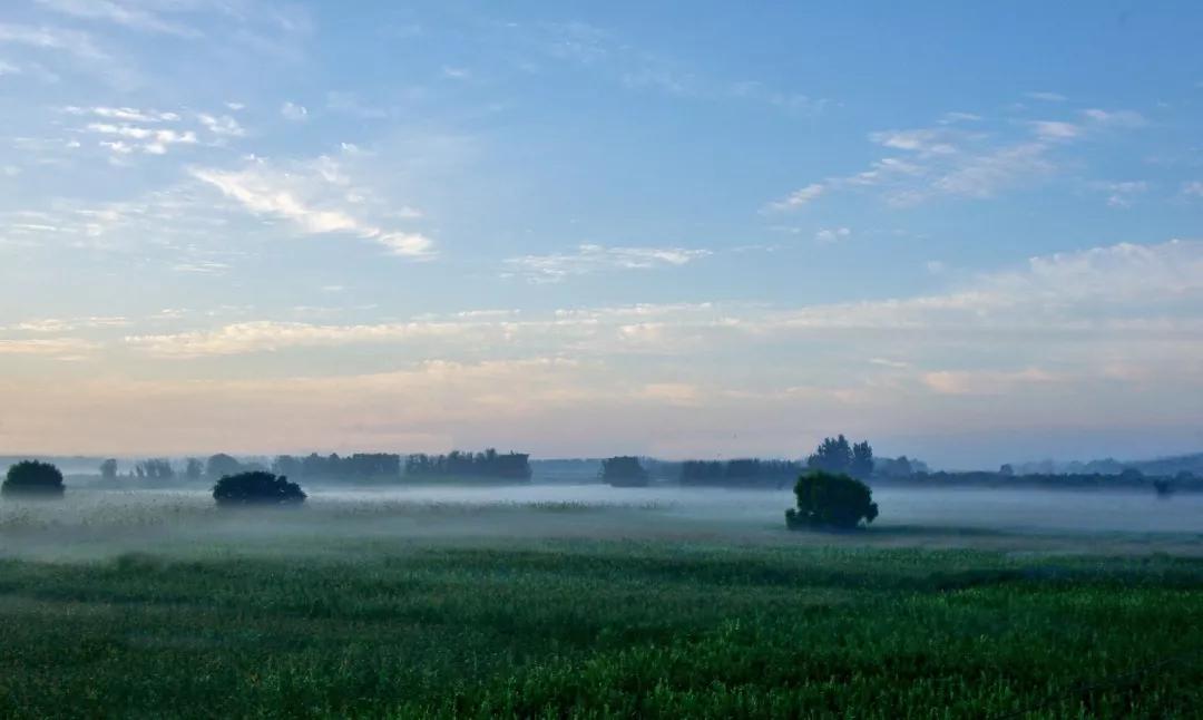 今年武清区有什么大发展,关于天津武清区发展报告